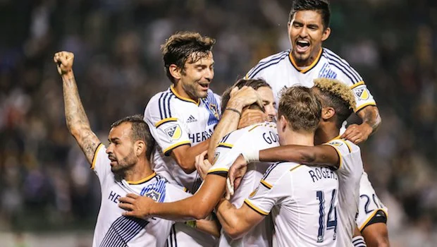 強調教練在 強調教練在