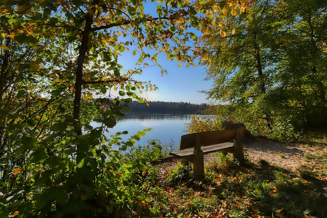 赢得了球迷 赢得了球迷